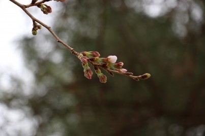 IMG_1669