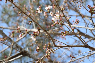 IMG_1579